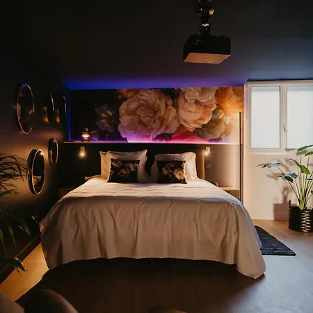 Apartament L'alcove Clisson-love Room- Romantique-spa *